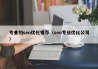 專(zhuān)業(yè)的seo優(yōu)化推薦（seo專(zhuān)業(yè)優(yōu)化公司）