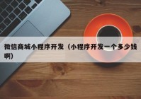 微信商城小程序開(kāi)發(fā)（小程序開(kāi)發(fā)一個(gè)多少錢(qián)?。? /></a>
		</div>
		<div   id=