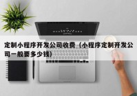 定制小程序開(kāi)發(fā)公司收費(fèi)（小程序定制開(kāi)發(fā)公司一般要多少錢(qián)）