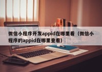 微信小程序開(kāi)發(fā)appid在哪里看（微信小程序的appid在哪里查看）